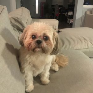 Meet your Posher, Laura